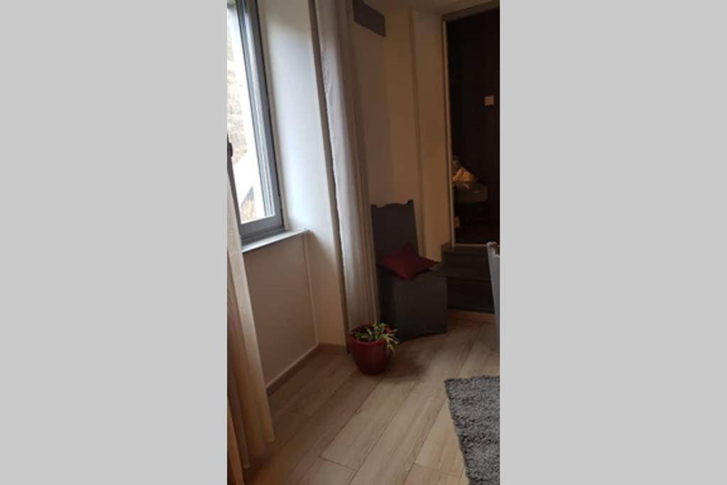 Appartement Cosy Au Pied Du Tourmalet 康庞 外观 照片