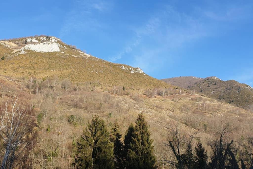 Appartement Cosy Au Pied Du Tourmalet 康庞 外观 照片